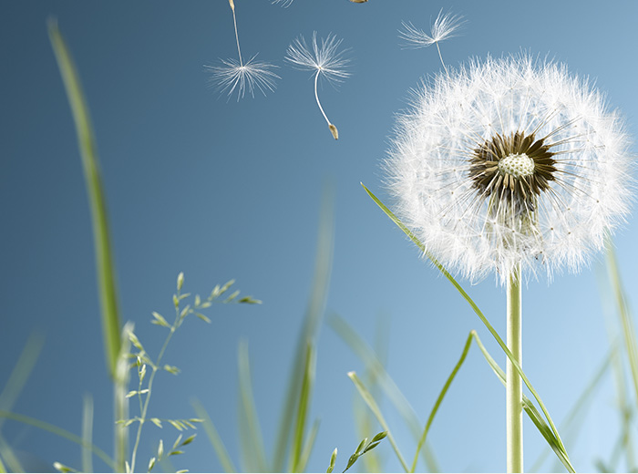 尊龙集团的愿景